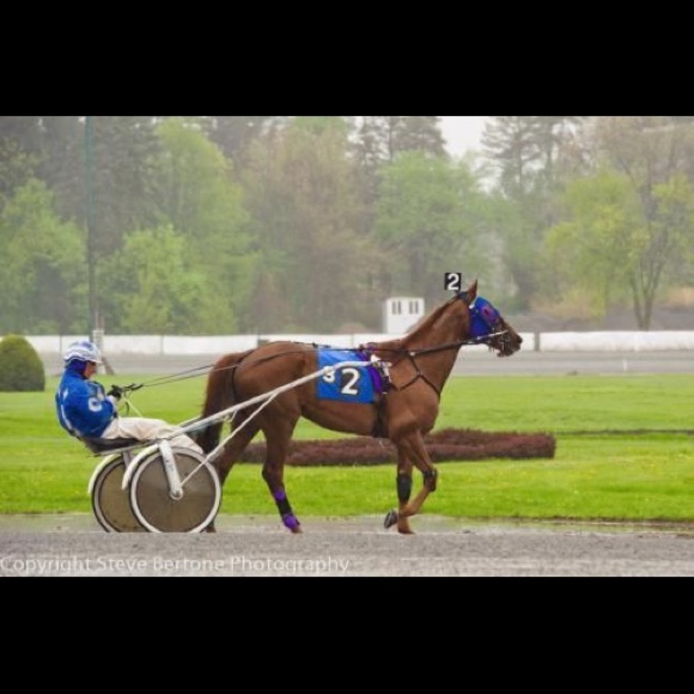 Meet your Posher, Brian